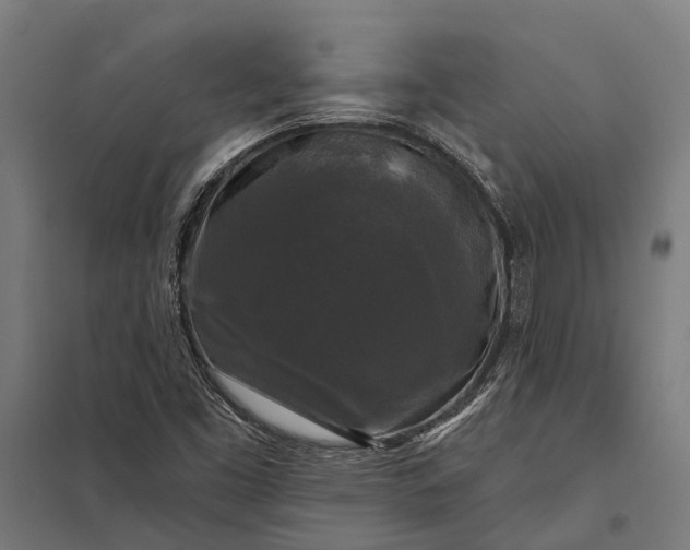 X0000097851453200803281236