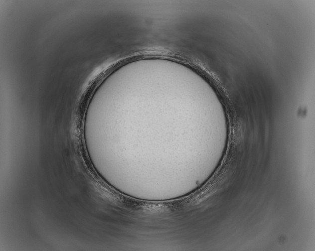 X0000097851454200803281236