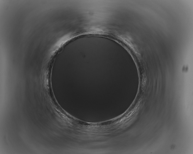 X0000097851455200803281236