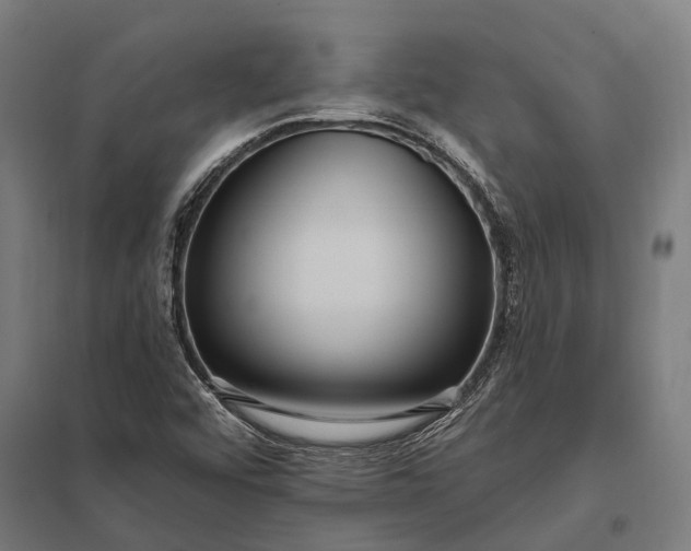 X0000097851456200803281236