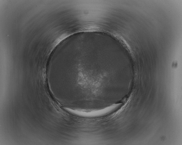 X0000097851457200803281236