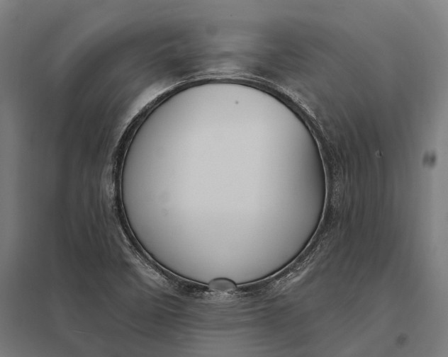 X0000097851458200803281236