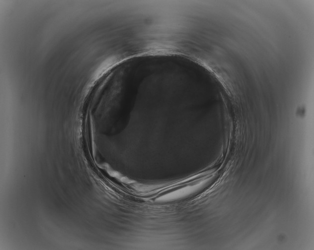 X0000097851459200803281236