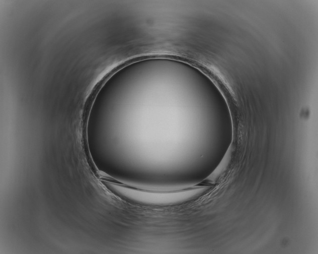 X0000097851460200803281236