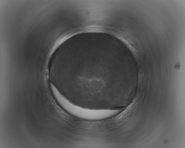 X0000097851461200803281236