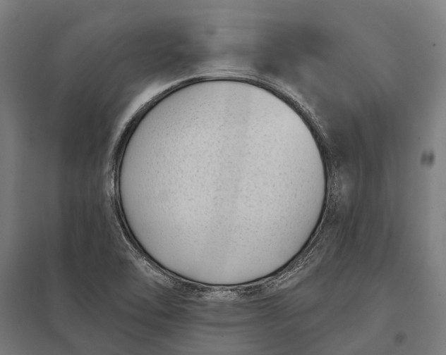 X0000097851462200803281236