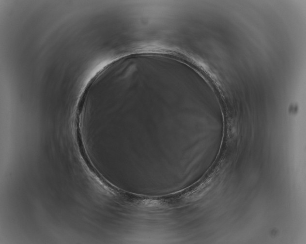 X0000097851463200803281236