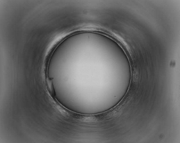 X0000097851464200803281236