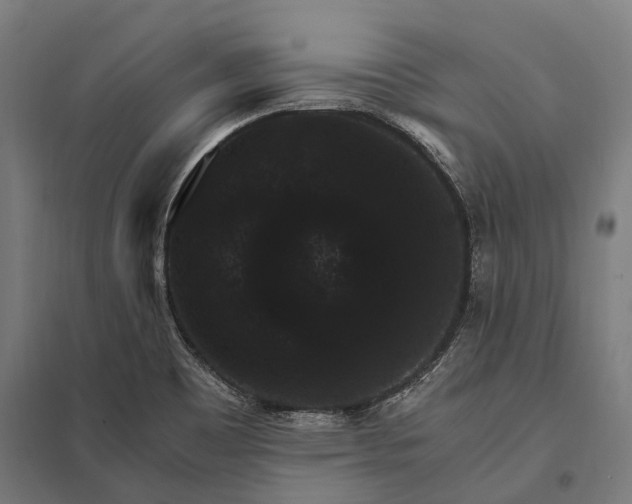 X0000097851465200803281236