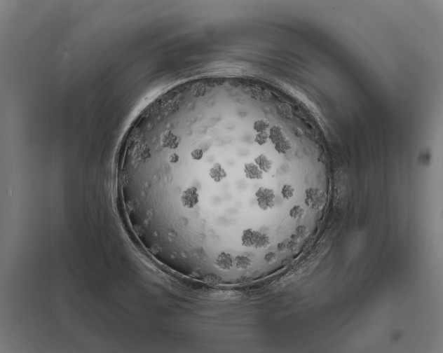 X0000097851467200803281236