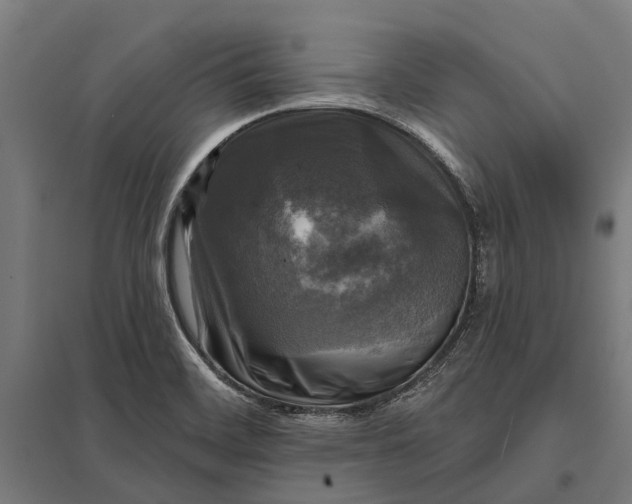 X0000097851468200803281236