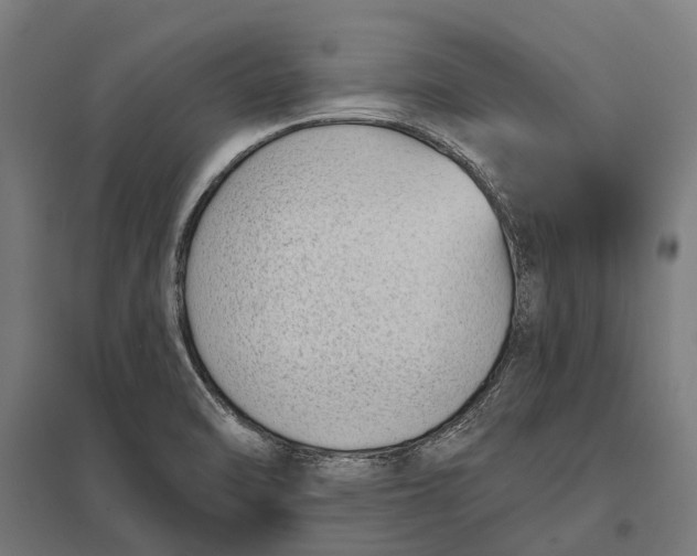 X0000097851470200803281236