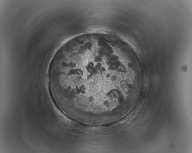 X0000097851471200803281236