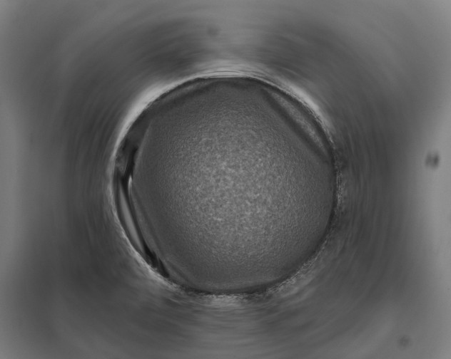 X0000097851472200803281236