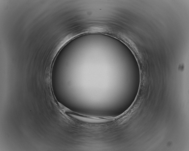 X0000097851473200803281236