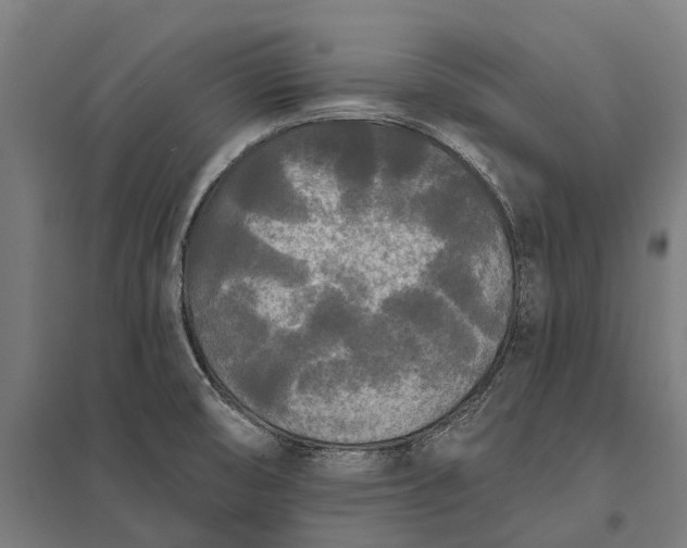 X0000097851474200803281236