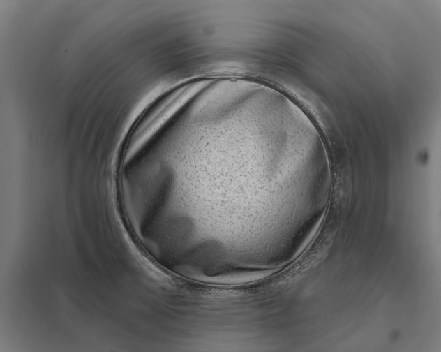 X0000097851475200803281236