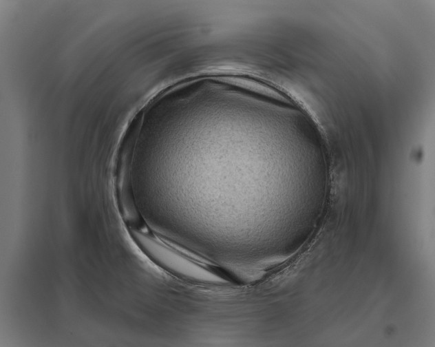 X0000097851476200803281236