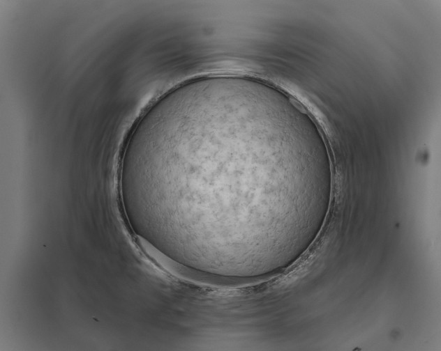 X0000097851477200803281236