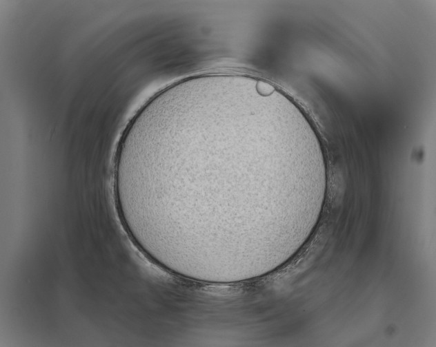 X0000097851478200803281236