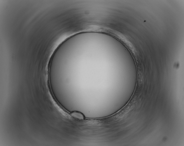 X0000097851479200803281236