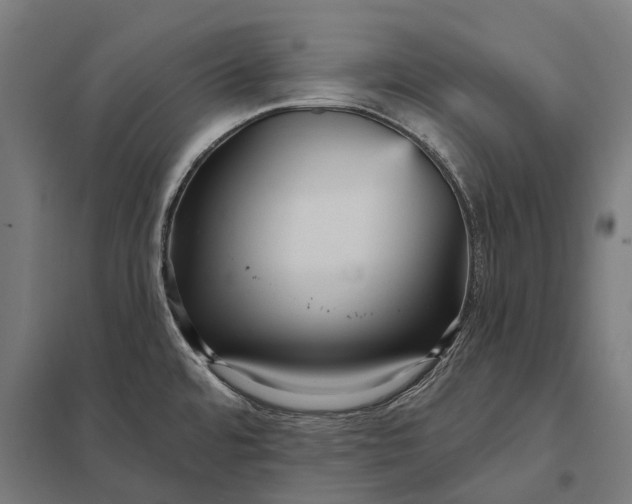 X0000097851480200803281236