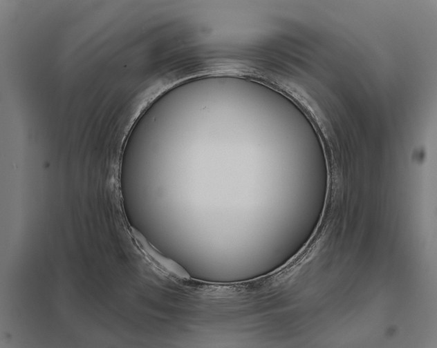 X0000097851481200803281236