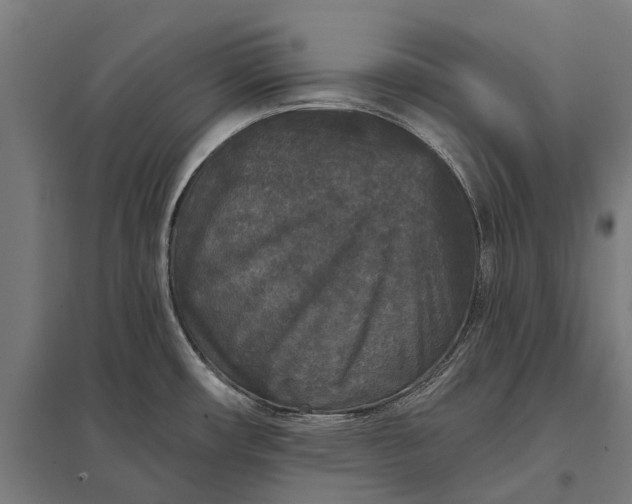 X0000097851482200803281236