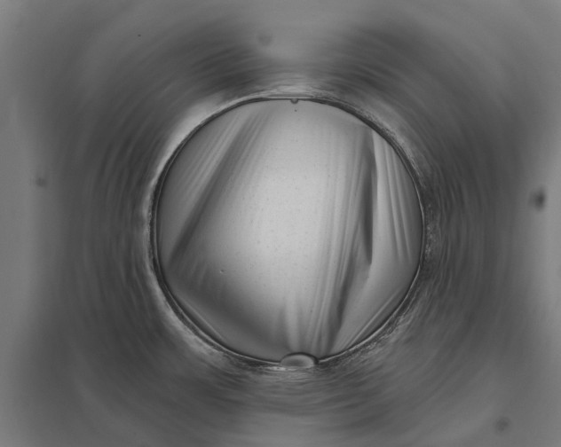 X0000097851483200803281236