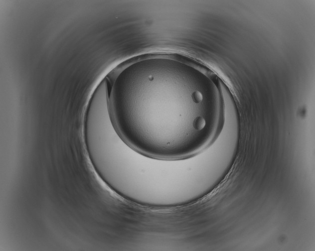 X0000097851484200803281236