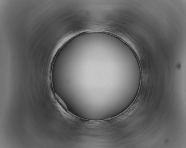 X0000097851485200803281236