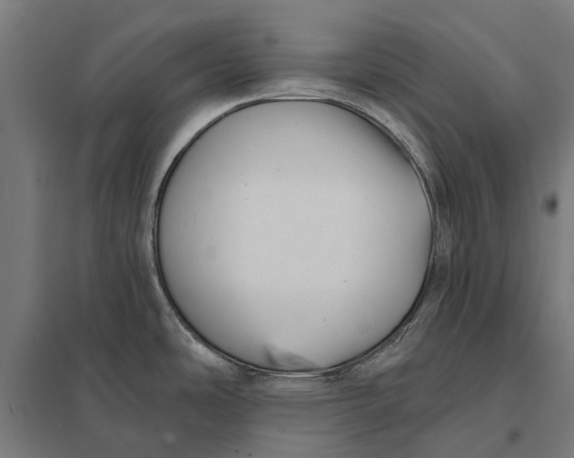 X0000097851486200803281236