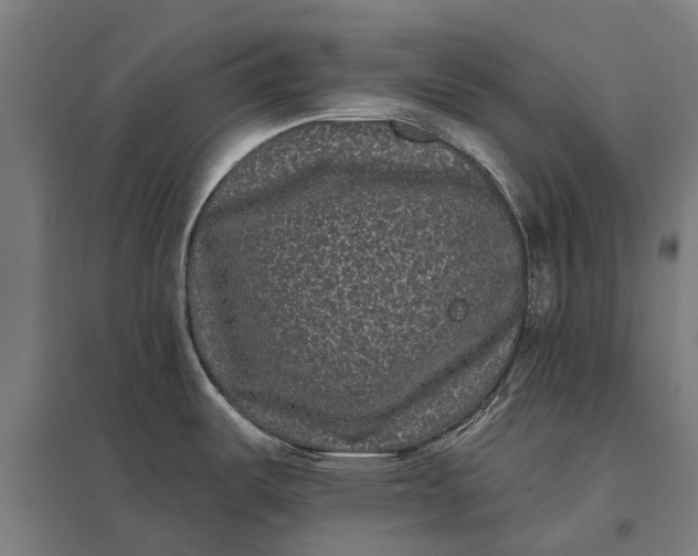 X0000097851487200803281236