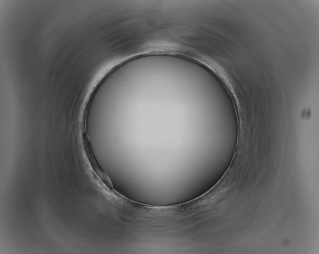 X0000097851488200803281236