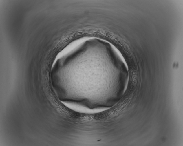 X0000097851489200803281235