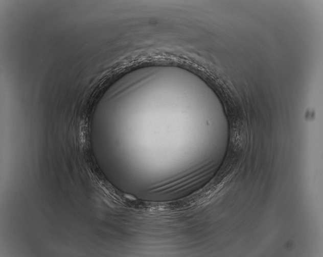 X0000097851490200803281235