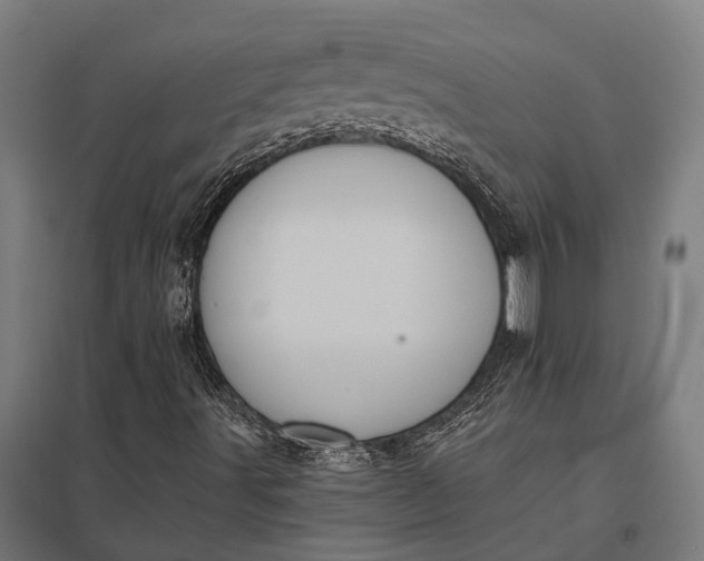 X0000097851491200803281235