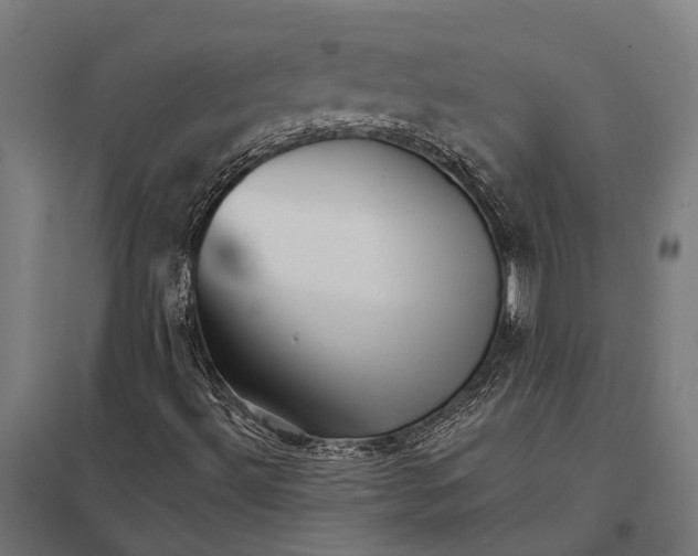 X0000097851492200803281235