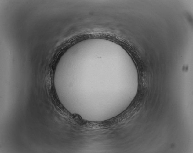 X0000097851493200803281235