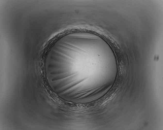 X0000097851494200803281235