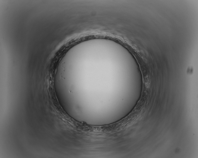 X0000097851495200803281235