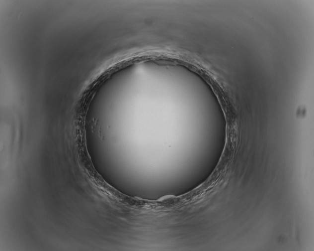 X0000097851496200803281235