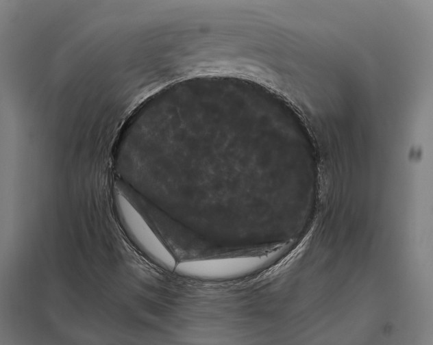 X0000097851497200803281235