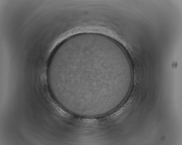 X0000097851498200803281235