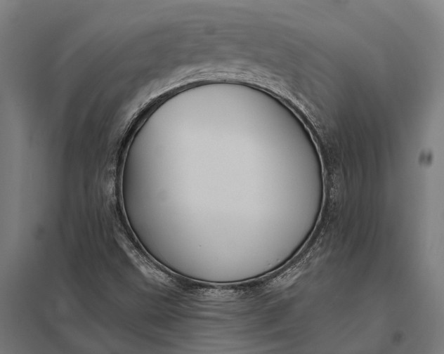 X0000097851499200803281235