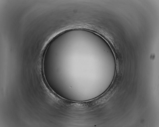 X0000097851500200803281235