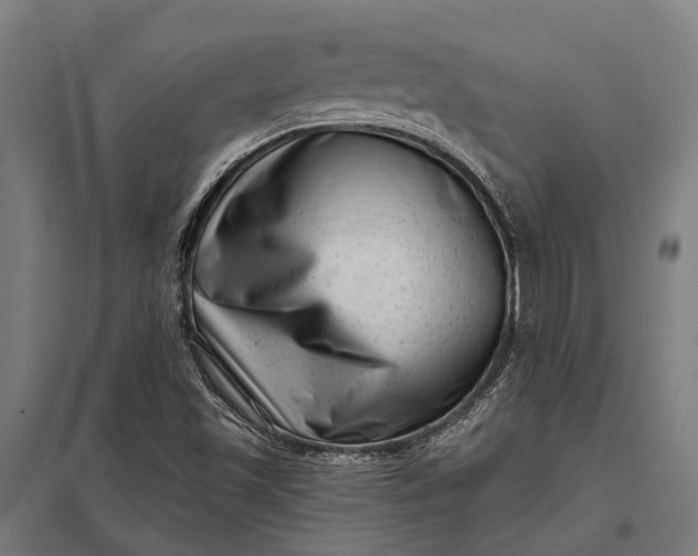 X0000097851501200803281235