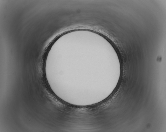 X0000097851502200803281235