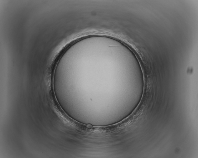 X0000097851503200803281235