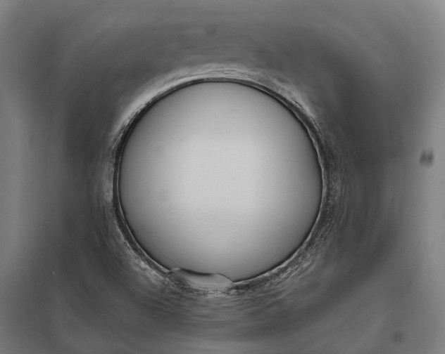 X0000097851504200803281235